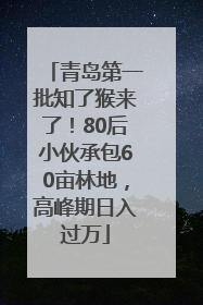 青岛第一批知了猴来了！80后小伙承包60亩林地，高峰期日入过万