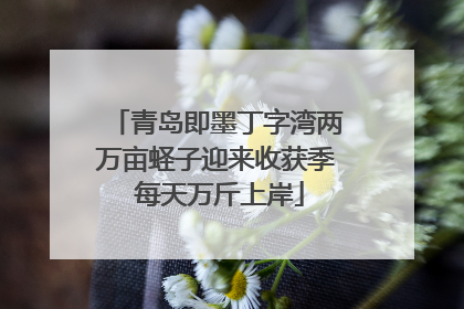 青岛即墨丁字湾两万亩蛏子迎来收获季 每天万斤上岸