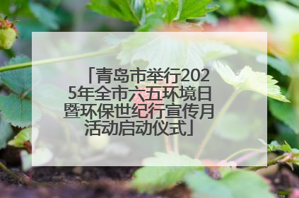 青岛市举行2025年全市六五环境日暨环保世纪行宣传月活动启动仪式