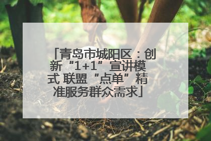 青岛市城阳区：创新“1+1”宣讲模式 联盟“点单”精准服务群众需求