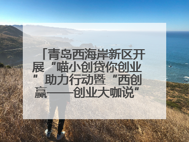 青岛西海岸新区开展“喵小创贷你创业”助力行动暨“西创赢——创业大咖说”主题活动