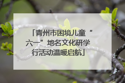 青州市困境儿童“六一”地名文化研学行活动温暖启航