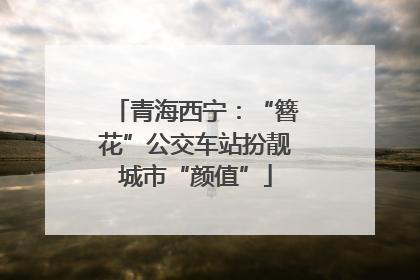 青海西宁：“簪花”公交车站扮靓城市“颜值”