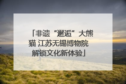 非遗“邂逅”大熊猫 江苏无锡博物院解锁文化新体验