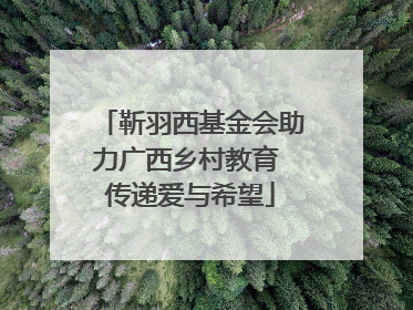 靳羽西基金会助力广西乡村教育 传递爱与希望