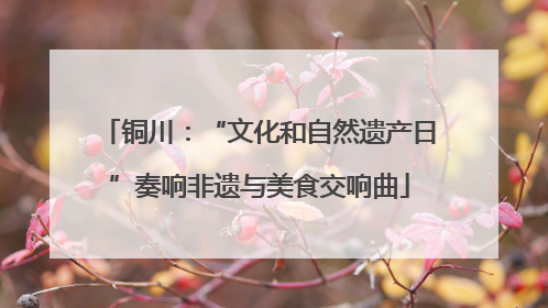 铜川：“文化和自然遗产日”奏响非遗与美食交响曲