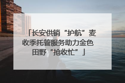 长安供销“护航”麦收季托管服务助力金色田野“抢收忙”