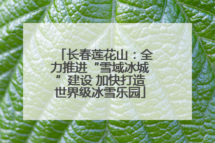 长春莲花山：全力推进“雪域冰城”建设 加快打造世界级冰雪乐园