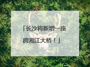 长沙将新增一座跨湘江大桥！