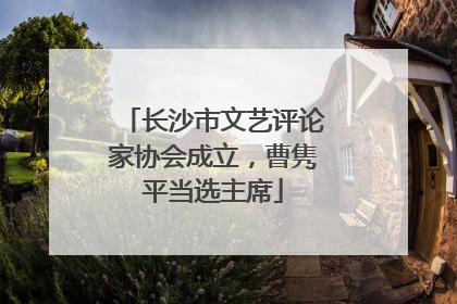 长沙市文艺评论家协会成立，曹隽平当选主席