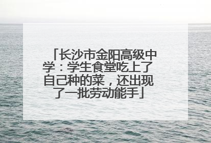 长沙市金阳高级中学：学生食堂吃上了自己种的菜，还出现了一批劳动能手