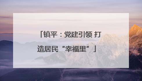 镇平：党建引领 打造居民“幸福里”