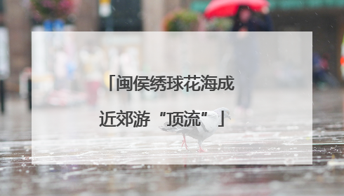 闽侯绣球花海成近郊游“顶流”