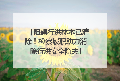 阻碍行洪林木已清除！检察履职助力消除行洪安全隐患