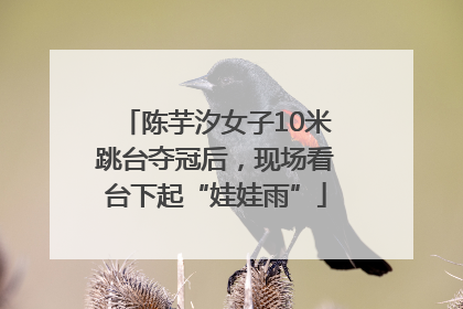 陈芋汐女子10米跳台夺冠后，现场看台下起“娃娃雨”