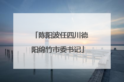 陈阳波任四川德阳绵竹市委书记