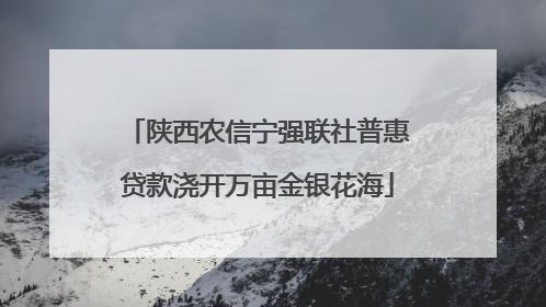 陕西农信宁强联社普惠贷款浇开万亩金银花海