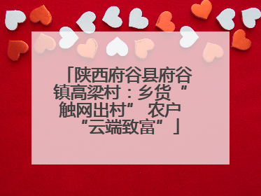 陕西府谷县府谷镇高梁村：乡货“触网出村” 农户“云端致富”