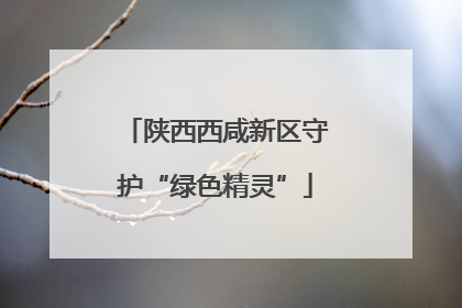 陕西西咸新区守护“绿色精灵”