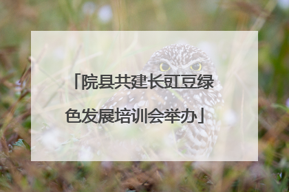 院县共建长豇豆绿色发展培训会举办