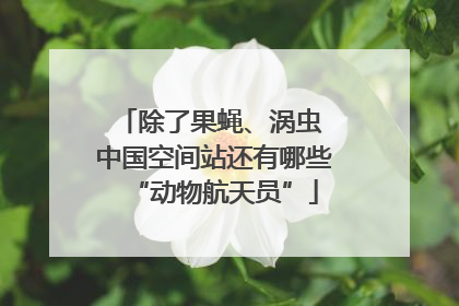 除了果蝇、涡虫 中国空间站还有哪些“动物航天员”