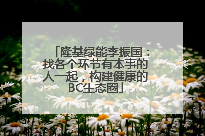 隆基绿能李振国：找各个环节有本事的人一起，构建健康的BC生态圈