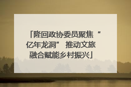 隆回政协委员聚焦“亿年龙洞” 推动文旅融合赋能乡村振兴