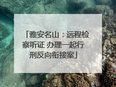 雅安名山：远程检察听证 办理一起行刑反向衔接案