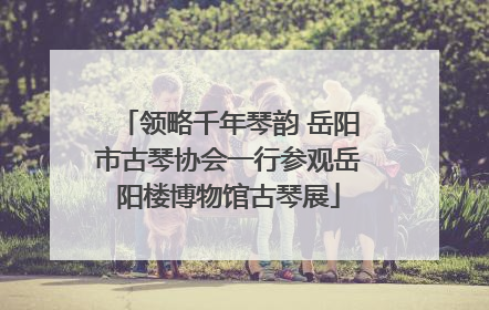 领略千年琴韵 岳阳市古琴协会一行参观岳阳楼博物馆古琴展