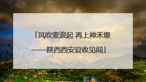 风吹麦浪起 再上神禾塬——陕西西安夏收见闻