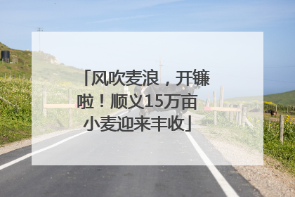 风吹麦浪,开镰啦!顺义15万亩小麦迎来丰收