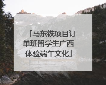 马东铁项目订单班留学生广西体验端午文化