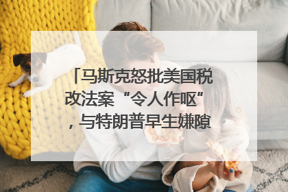 马斯克怒批美国税改法案“令人作呕”，与特朗普早生嫌隙？｜国际识局