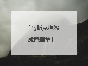 马斯克抱怨成替罪羊