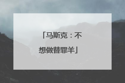 马斯克：不想做替罪羊