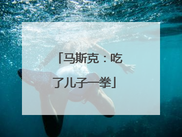 马斯克：吃了儿子一拳