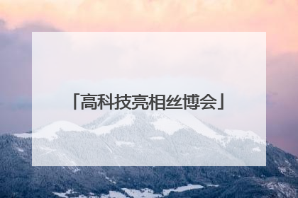 高科技亮相丝博会