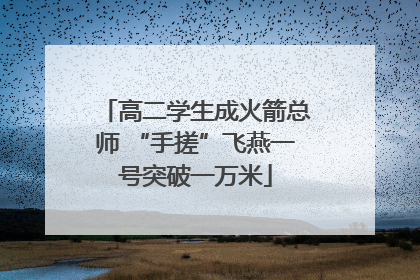 高二学生成火箭总师 “手搓”飞燕一号突破一万米
