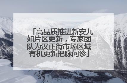 高品质推进新安九如片区更新，专家团队为汉正街市场区域有机更新把脉问诊