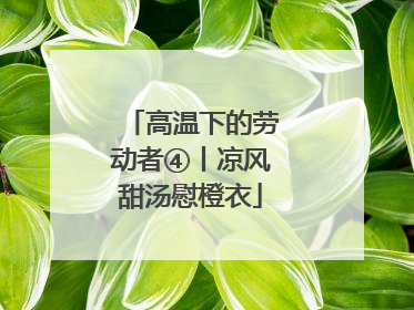高温下的劳动者④丨凉风甜汤慰橙衣