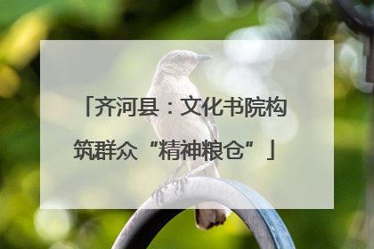 齐河县：文化书院构筑群众“精神粮仓”
