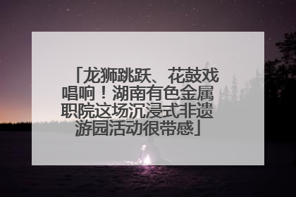 龙狮跳跃、花鼓戏唱响！湖南有色金属职院这场沉浸式非遗游园活动很带感