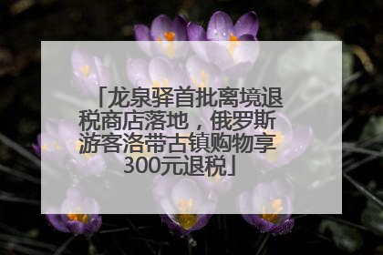 龙泉驿首批离境退税商店落地，俄罗斯游客洛带古镇购物享300元退税