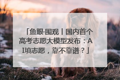 鱼眼·围观丨国内首个高考志愿大模型发布：AI填志愿，靠不靠谱？