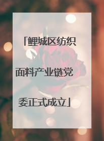 鲤城区纺织面料产业链党委正式成立