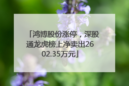 鸿博股份涨停，深股通龙虎榜上净卖出2602.35万元