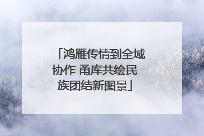鸿雁传情到全域协作 甬库共绘民族团结新图景