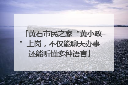黄石市民之家“黄小政”上岗，不仅能聊天办事还能听懂多种语言
