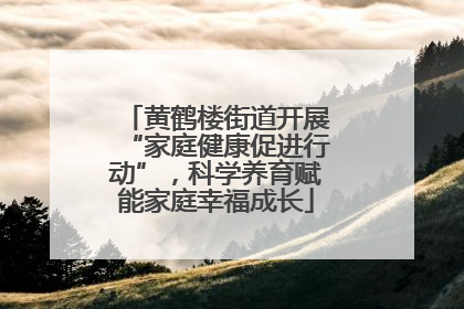 黄鹤楼街道开展“家庭健康促进行动”，科学养育赋能家庭幸福成长