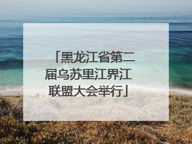 黑龙江省第二届乌苏里江界江联盟大会举行
